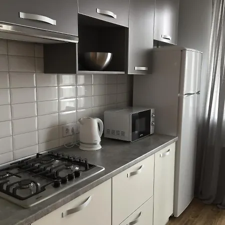 Scandinavian Apartment Lviv Exterior photo