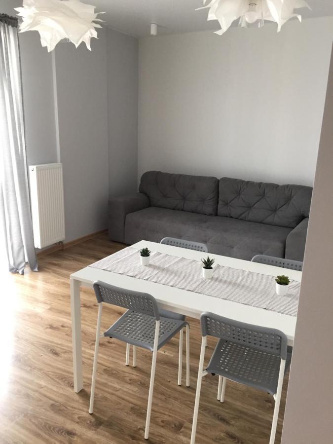 Scandinavian Apartment Lviv